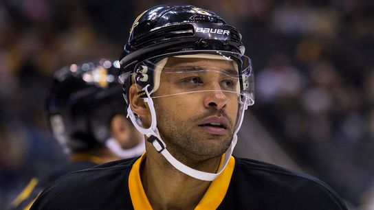 Former Penguin Daley signs with ECHL's Everblades taken in Philadelphia (Penguins)